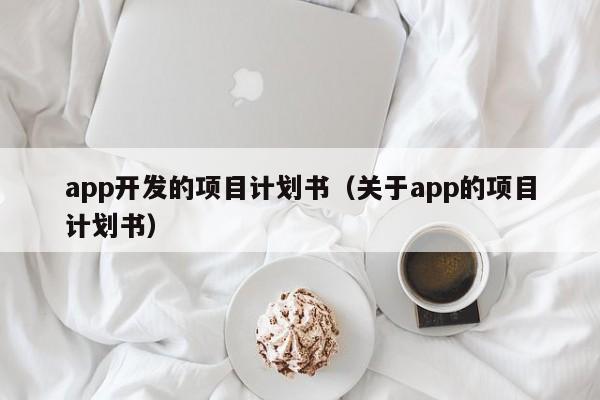 app开发的项目计划书（关于app的项目计划书）插图