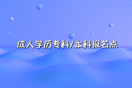 公共事业管理专升本，2021年报名条件