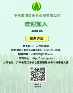 2022年中林集团雷州林业局有限公司招聘相关岗位的公告-小默在职场