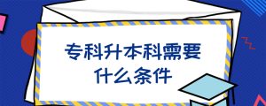 专科升本科需要什么条件-小默在职场