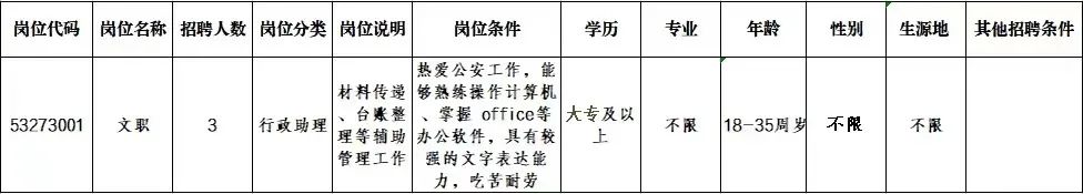 2023年普洱市西盟县公安局招聘文职人员公告插图