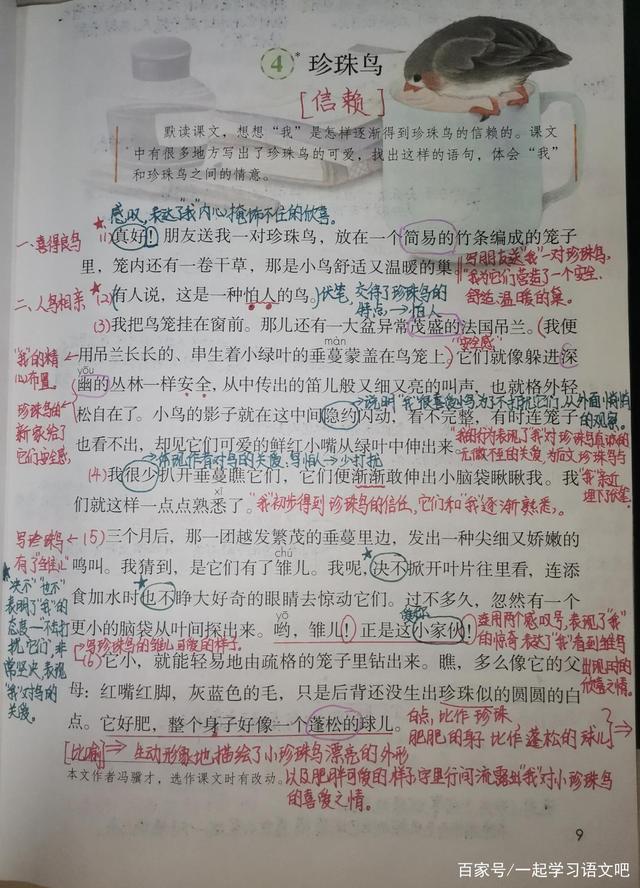 五年级上语文第一单元复习与考点解析，单元测试轻松取得好成绩！插图8