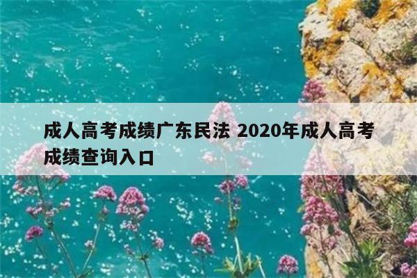 成人高考成绩广东民法 2020年成人高考成绩查询入口插图