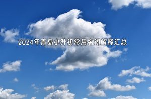 2024年青岛小升初常用名词解释汇总-小默在职场