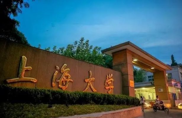 纯211大学5大梯队，考上前2级未来不愁就业，2024届学生可关注插图7