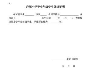 5月8日申请截止！2024年跨区/省市回东城小升初条件明确！2025小升初提前看-小默在职场