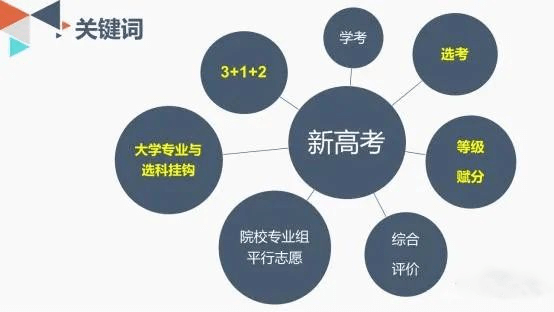 2024年新高考选科指南！（附上12种选科组合对应专业一览表）插图