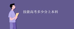 技能高考本科计算机类,技能高考多少分上本科-小默在职场