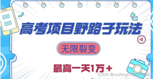 无限裂变附所有高考资料2024高考项目野路子玩法-小默在职场